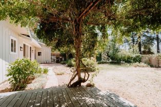 Single Family Residence,  Cold Springs road, Angwin, CA 94508 - 17