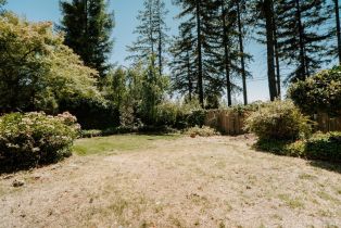 Single Family Residence,  Cold Springs road, Angwin, CA 94508 - 19
