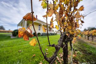 3+ Houses on Lot,  Lakeville highway, Petaluma, CA 94954 - 29