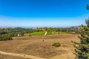 Residential Acreage,  Sonoma Mountain road, Santa Rosa, CA 95404 - 16