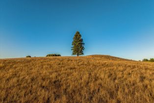 Residential Acreage,  Sonoma Mountain road, Santa Rosa, CA 95404 - 22