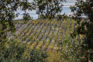 Single Family Residence,  Old Adobe road, Petaluma, CA 94954 - 6