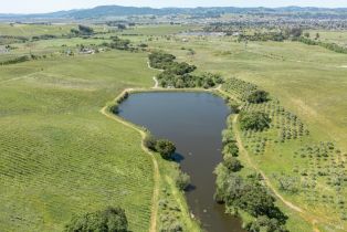 Agriculture,  Old Adobe road, Petaluma, CA 94954 - 2