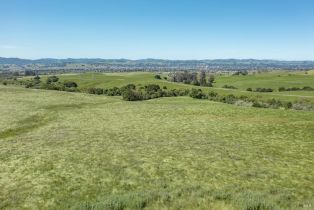 Agriculture,  Old Adobe road, Petaluma, CA 94954 - 11