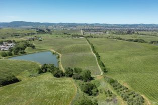 Agriculture,  Old Adobe road, Petaluma, CA 94954 - 12