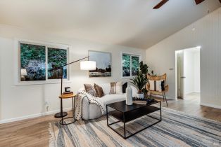 Single Family Residence,  Canyon 3 road, Russian River, CA 95471 - 8