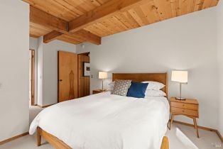 Single Family Residence,  White Fir Wood none, Sea Ranch, CA 95497 - 46