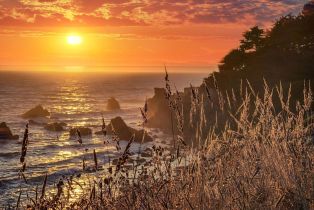 Single Family Residence,  White Fir Wood none, Sea Ranch, CA 95497 - 56