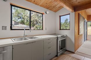 Single Family Residence,  White Fir Wood none, Sea Ranch, CA 95497 - 38
