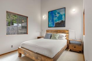 Single Family Residence,  White Fir Wood none, Sea Ranch, CA 95497 - 51