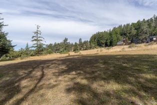 Single Family Residence,  White Fir Wood none, Sea Ranch, CA 95497 - 26