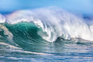 Single Family Residence,  White Fir Wood none, Sea Ranch, CA 95497 - 62