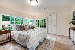 Single Family Residence,  Old River road, Russian River, CA 95446 - 7