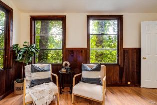 Single Family Residence,  Old River road, Russian River, CA 95446 - 30