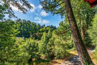 Single Family Residence,  Old River road, Russian River, CA 95446 - 49