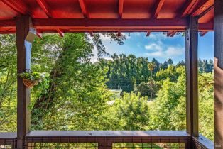 Single Family Residence,  Old River road, Russian River, CA 95446 - 48