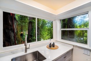 Single Family Residence,  Old River road, Russian River, CA 95446 - 17