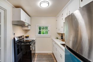 Single Family Residence,  Old River road, Russian River, CA 95446 - 40
