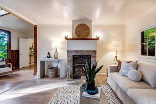 Single Family Residence,  Old River road, Russian River, CA 95446 - 34