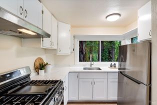 Single Family Residence,  Old River road, Russian River, CA 95446 - 15