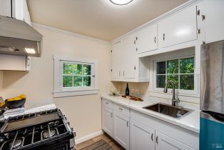 Single Family Residence,  Old River road, Russian River, CA 95446 - 41