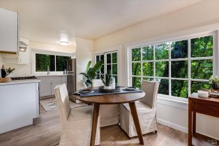 Single Family Residence,  Old River road, Russian River, CA 95446 - 10