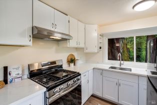 Single Family Residence,  Old River road, Russian River, CA 95446 - 16