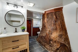 Single Family Residence,  Old River road, Russian River, CA 95446 - 12