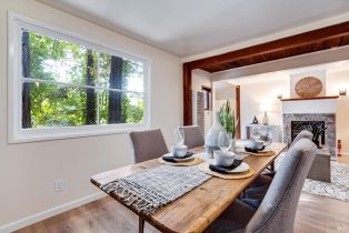 Single Family Residence,  Old River road, Russian River, CA 95446 - 39