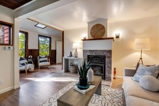 Single Family Residence,  Old River road, Russian River, CA 95446 - 35