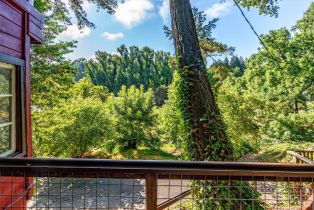 Single Family Residence,  Old River road, Russian River, CA 95446 - 2