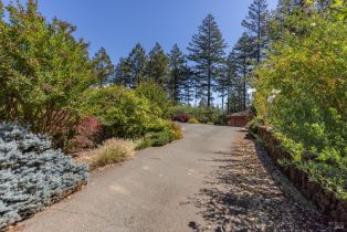 Single Family Residence,  Dry Creek road, Napa, CA 94558 - 8