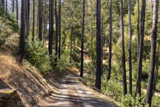 Single Family Residence,  Dry Creek road, Napa, CA 94558 - 12