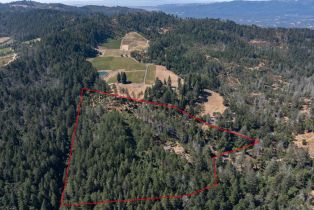 Single Family Residence,  Dry Creek road, Napa, CA 94558 - 2