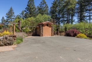 Single Family Residence,  Dry Creek road, Napa, CA 94558 - 10