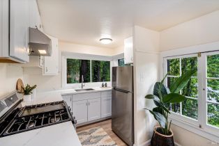 Residential Income,  Old River road, Russian River, CA 95446 - 14