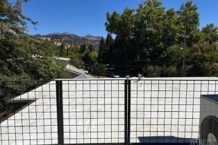 Residential Income,  4th street, Calistoga, CA 94515 - 20