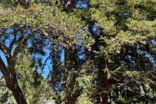 Residential Income,  4th street, Calistoga, CA 94515 - 23