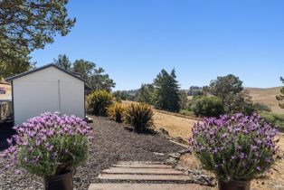 Single Family Residence,  Bodega avenue, Petaluma, CA 94952 - 23