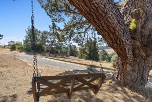 Single Family Residence,  Bodega avenue, Petaluma, CA 94952 - 39