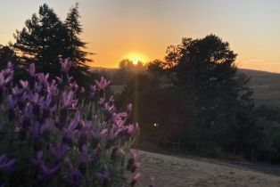 Single Family Residence,  Bodega avenue, Petaluma, CA 94952 - 3