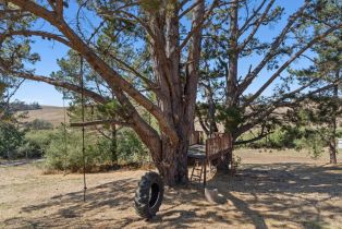 Single Family Residence,  Bodega avenue, Petaluma, CA 94952 - 26