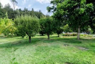 Single Family Residence,  Palomino road, Cloverdale, CA 95425 - 40