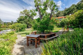 Single Family Residence,  Palomino road, Cloverdale, CA 95425 - 37