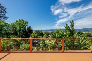 Single Family Residence,  Palomino road, Cloverdale, CA 95425 - 6