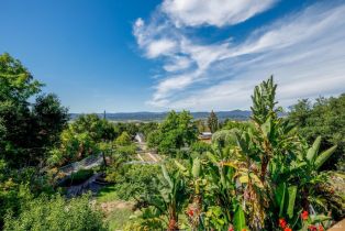 Single Family Residence,  Palomino road, Cloverdale, CA 95425 - 5