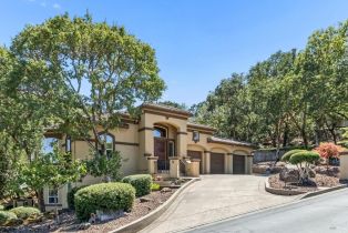 Single Family Residence, Old Coach road, Napa, CA 94558 - 2