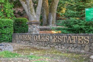 Single Family Residence, Old Coach road, Napa, CA 94558 - 89