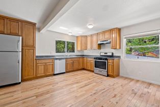 Single Family Residence,  Old Cazadero road, Russian River, CA 95446 - 6