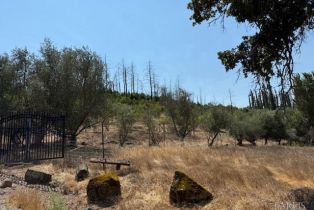 Residential Acreage,  Wildwood Mountain road, Santa Rosa, CA 95409 - 6
